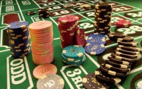 Bingo card interface on pipetbet login mobile app
